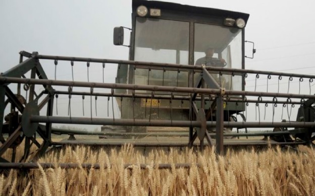 Аграрные «субсидии» в оккупированном Крыму