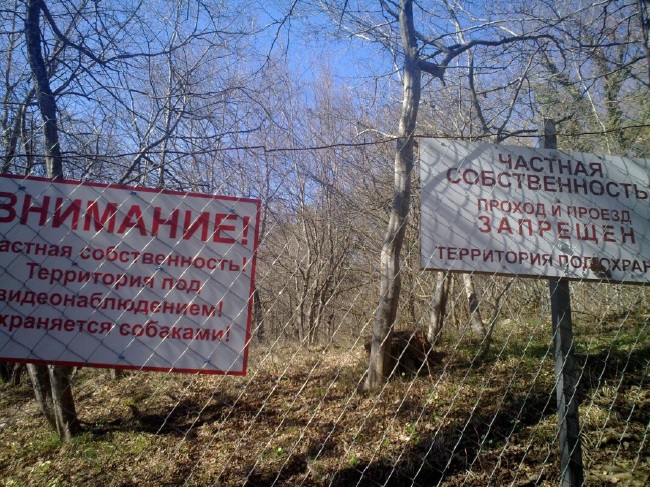 Оккупация и вызовы крымской экологии