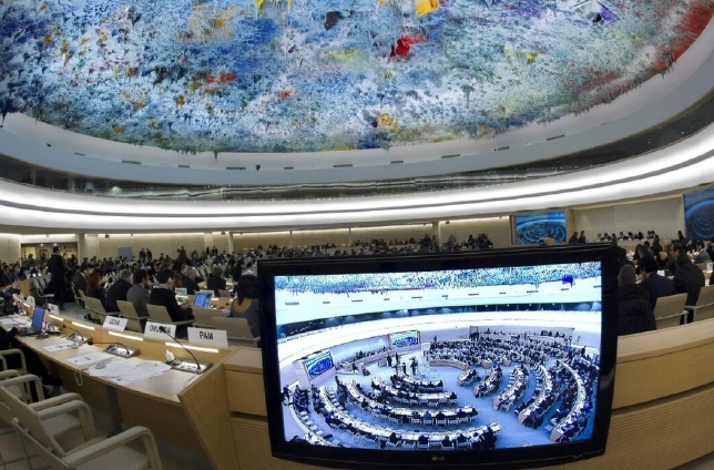 Совет ООН одобрил резолюцию поУкраине