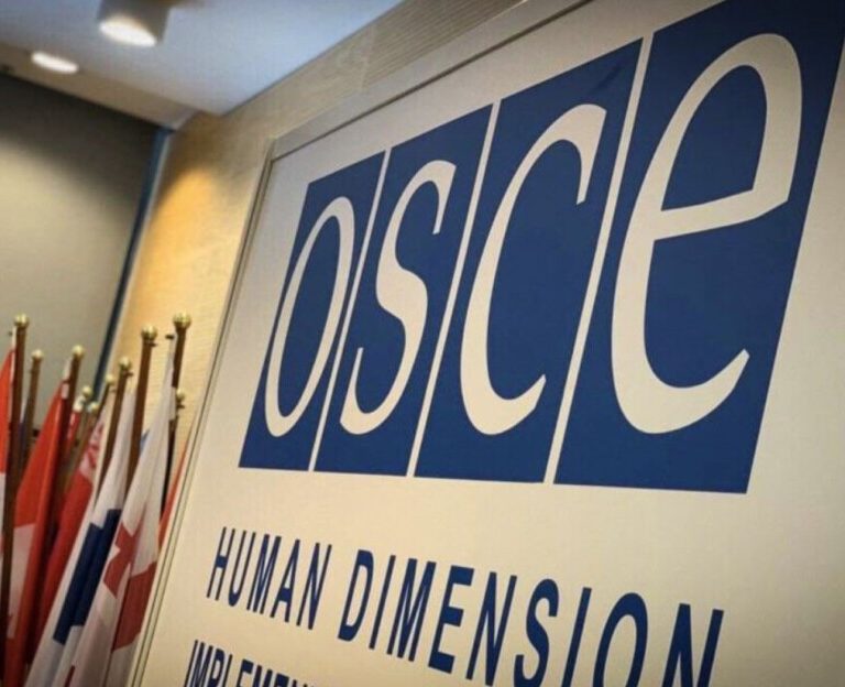OSCE Researches Issues of Tortures in Crimea