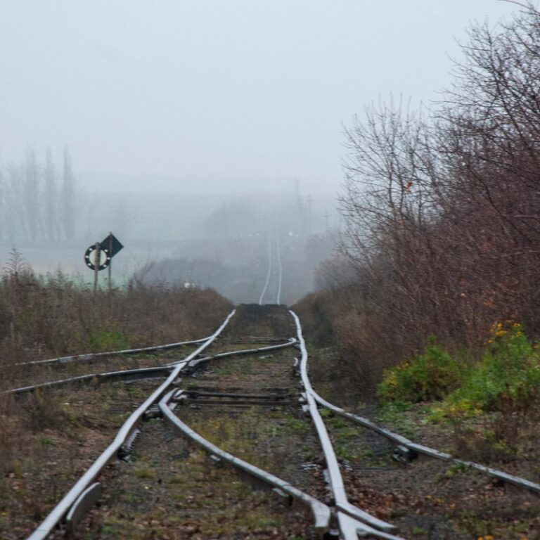 Another “Railroad” Fake from Kremlin Dictator