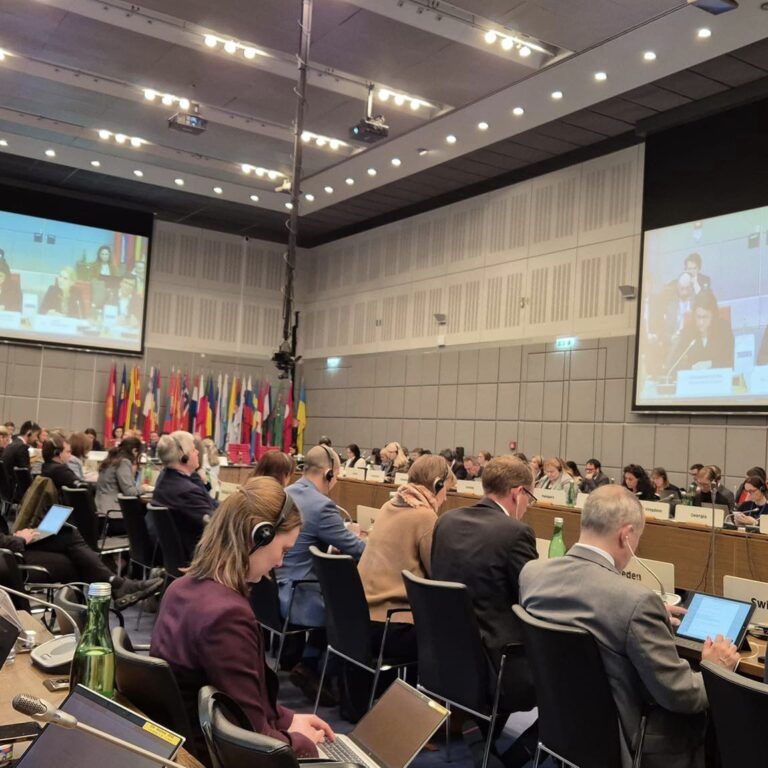 Crimean Issues Were Discussed at OSCE Supplementary Human Dimension Meeting