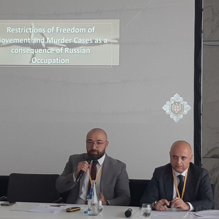 Warsaw Human Dimension Conference: Occupied Territories and Georgian Special Services