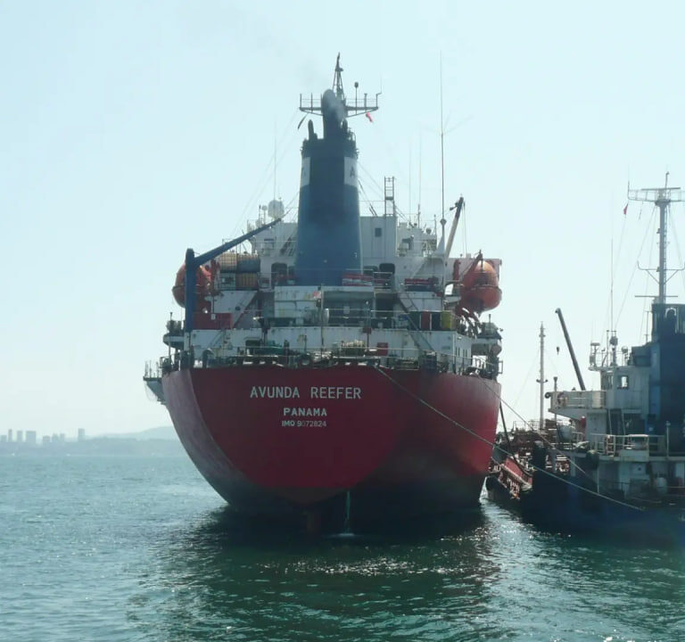 Російські ракети, грецький магнат та міжнародна риболовна мафія