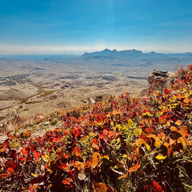 Окупанти готують масштабні афери із землями кримських міст та селищ
