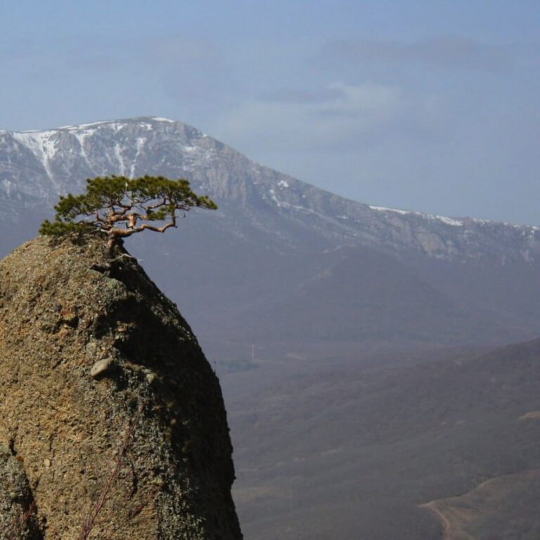 Глобальное потепление, оккупированный полуостров и пропаганда агрессора