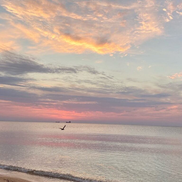 New Stage in European Court’s Consideration of Crimean Cases