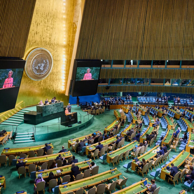 Combating Russian Provocations in UN Regarding Nazism: Next Important Results