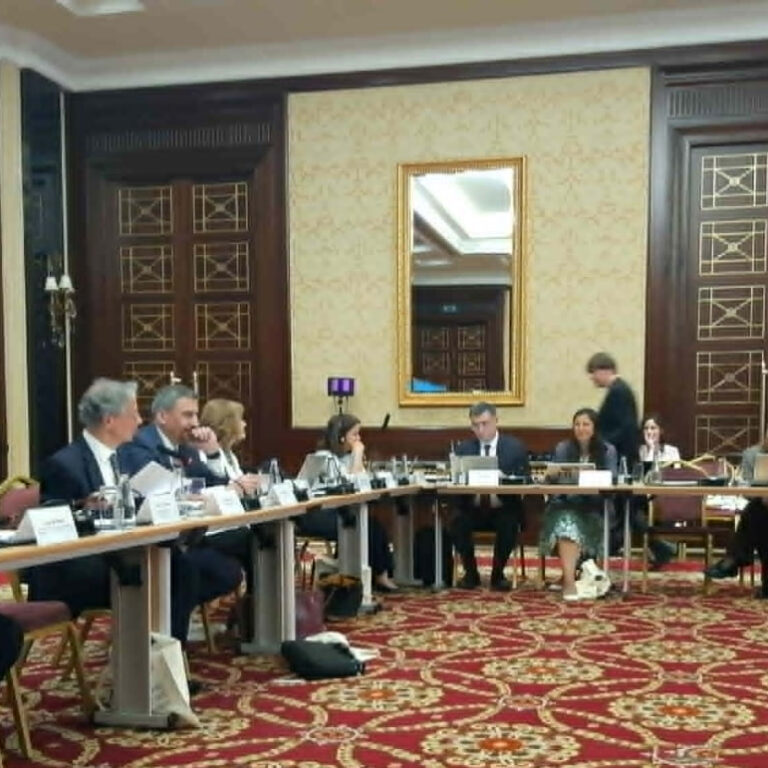 Council of Europe-Ukraine Action Plan’s Results Were Discussed in Kyiv
