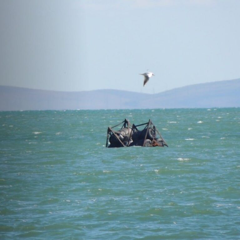Deep-Sea Fakes from Crimean “Fisheries Bosses”