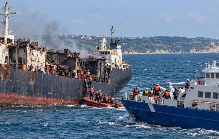 Expert Assessment of Russian Criminal Attacks on Black Sea Shipping